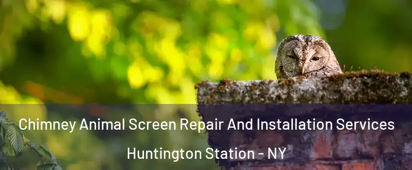  Chimney Animal Screen Repair And Installation Services Huntington Station - NY
