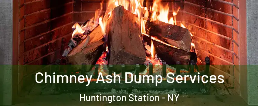  Chimney Ash Dump Services Huntington Station - NY