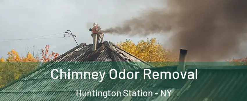  Chimney Odor Removal Huntington Station - NY