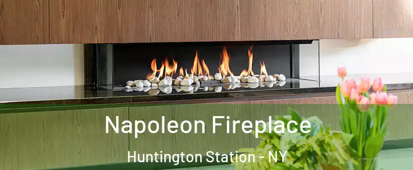  Napoleon Fireplace Huntington Station - NY